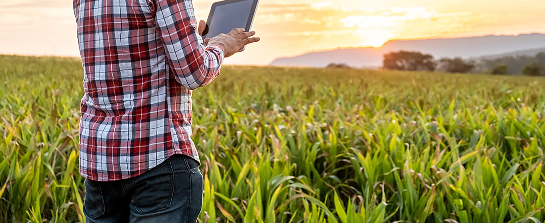 Rural Americans Spend A Lot of Time Online - Innovative Systems - Screen Time In Rural Areas